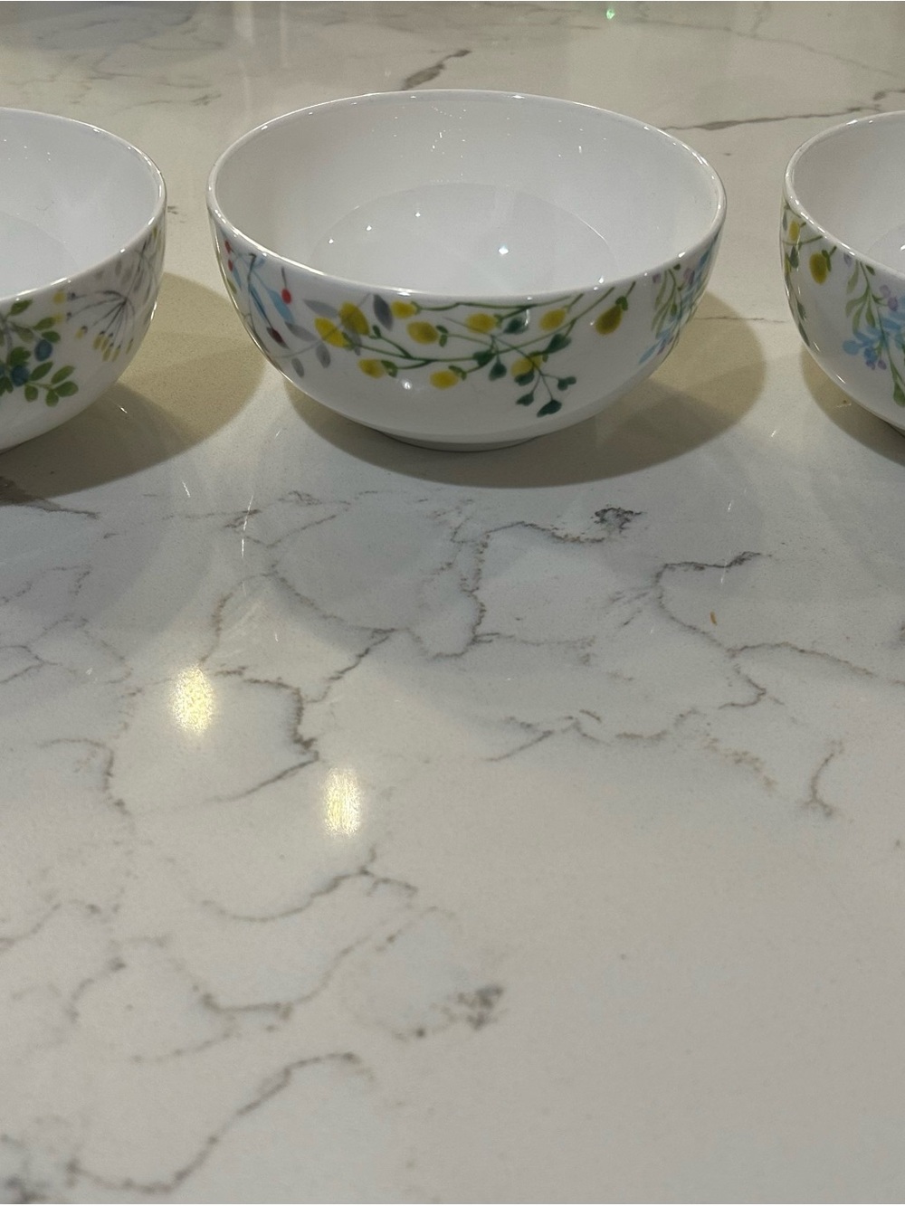 Set of 3 Mikasa White Ceramic Bowl- Tivoli Garden